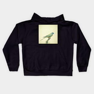 Bird Study #3 Kids Hoodie